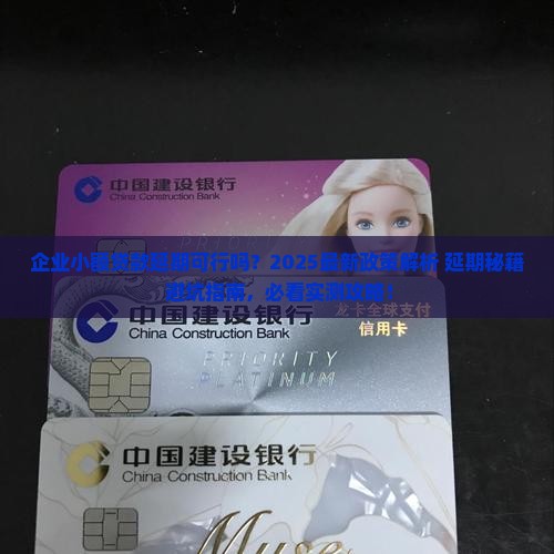 企业小额贷款能不能延期