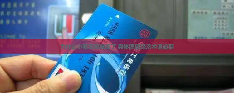 为什么小额贷款都被拒了