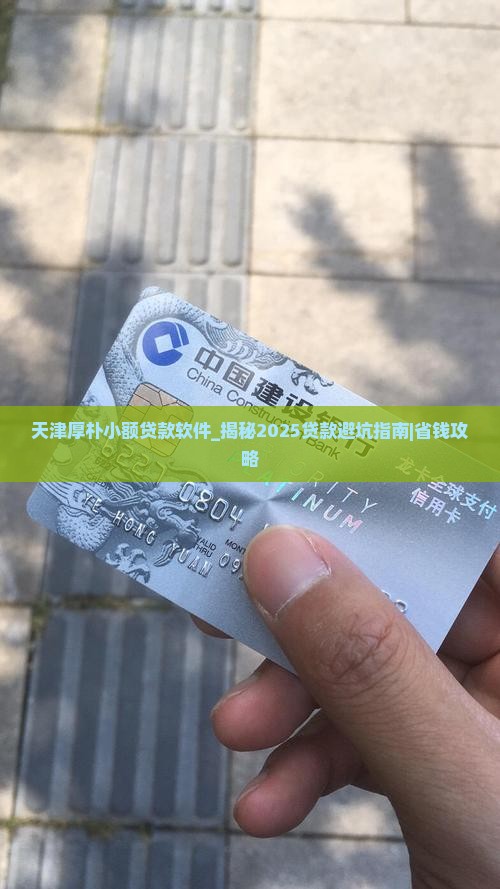 天津厚朴小额贷款软件