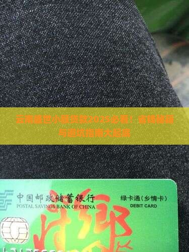 云南盛世小额贷款
