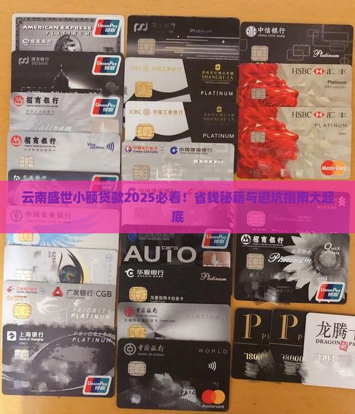云南盛世小额贷款