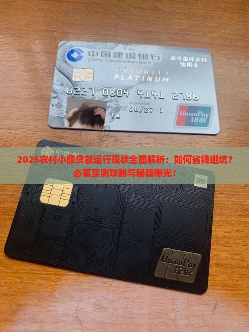 农村小额贷款运行现状