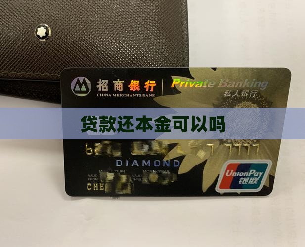 小额贷款还本金可以吗