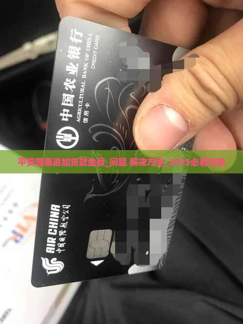 平安普惠追加贷款金额