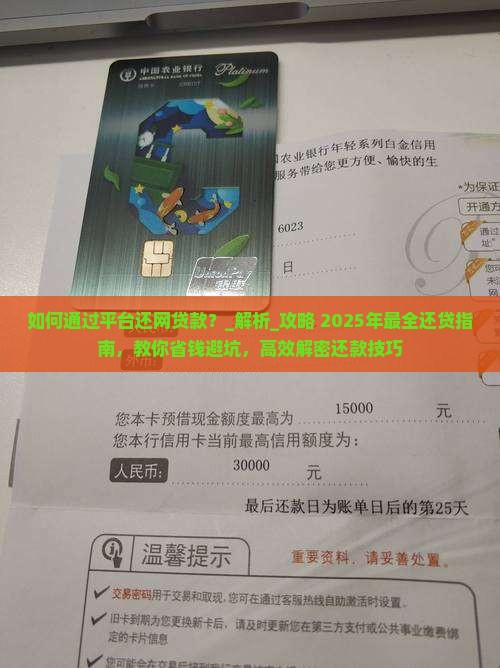如何通过平台还网贷款呢