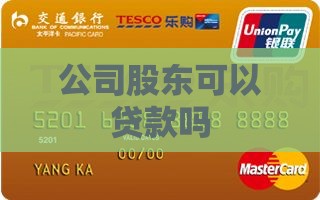 公司股东自己可以贷款吗