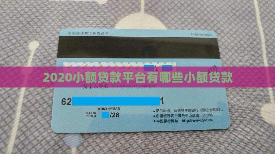 2020小额贷款有哪些