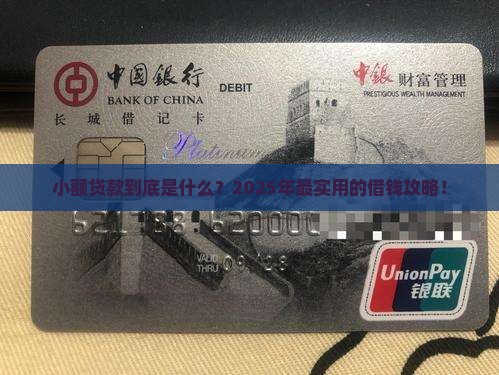 小额贷款主要是什么业务