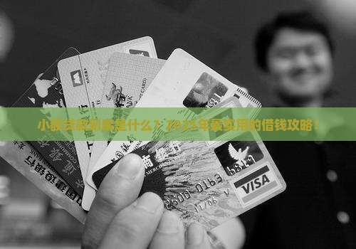 小额贷款主要是什么业务