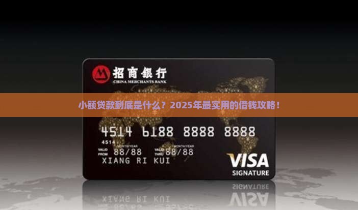 小额贷款主要是什么业务