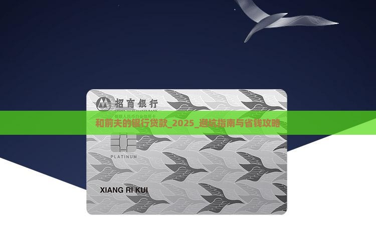 和前夫的银行贷款
