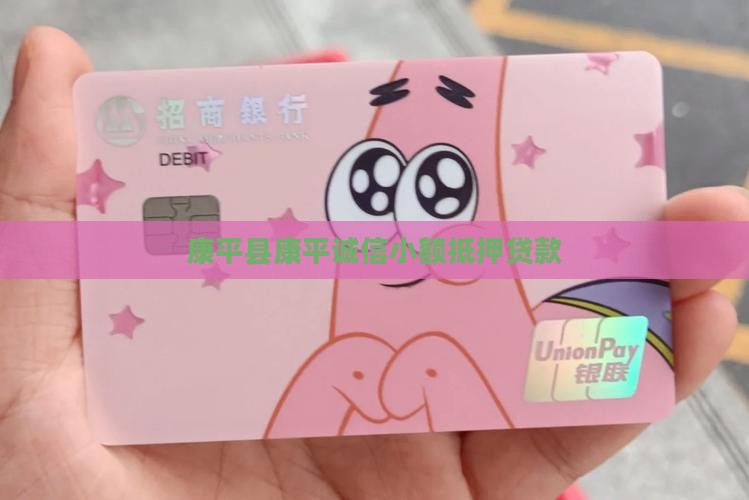 康平汽车抵押贷款公司