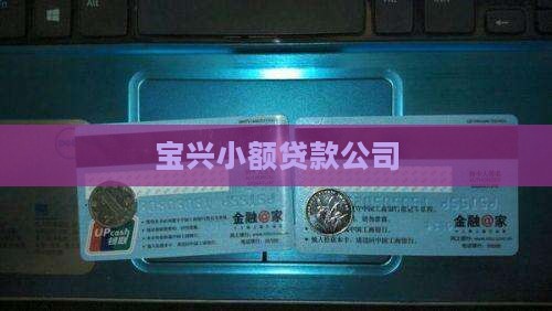 宝兴小额贷款