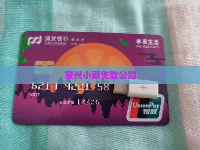 宝兴小额贷款