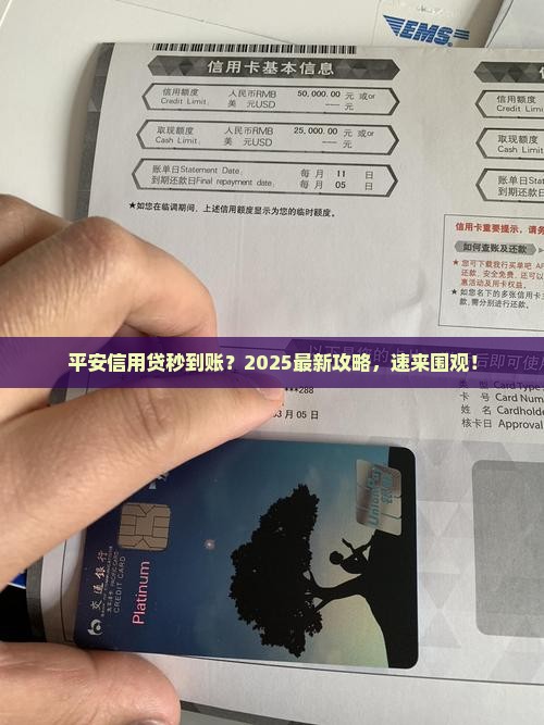 平安有什么信用贷款秒下