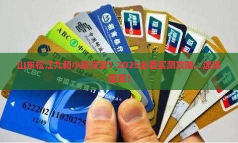 山东松江九和小额贷款