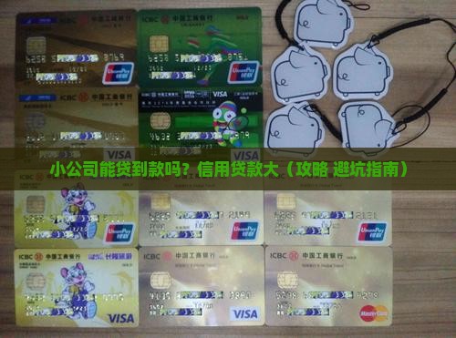 小公司可以信用贷款吗