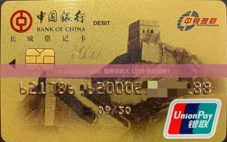 小公司可以信用贷款吗