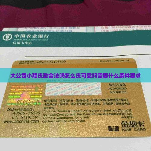 大公司小额贷款