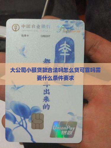 大公司小额贷款