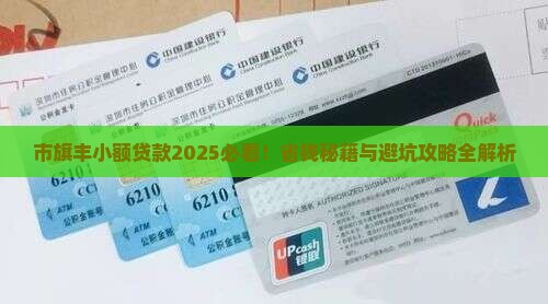 市旗丰小额贷款