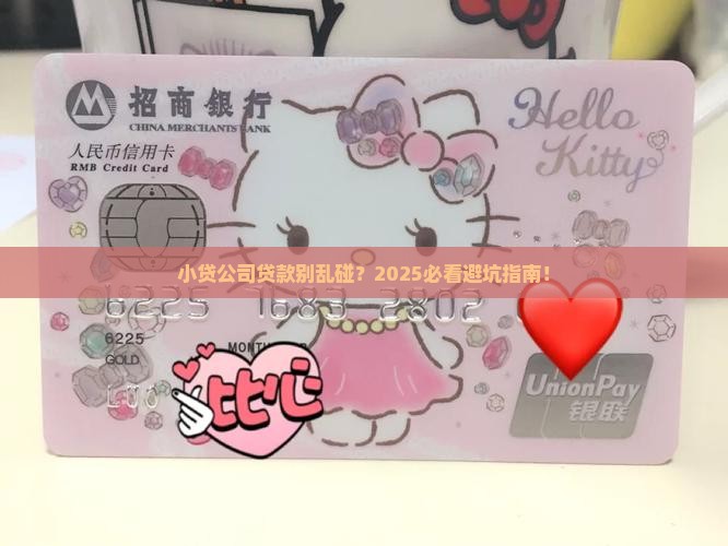 不得发放小贷公司贷款