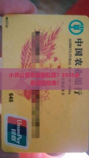 不得发放小贷公司贷款