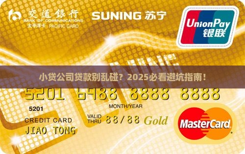 不得发放小贷公司贷款