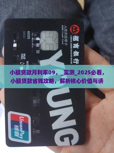 小额贷款月利率09