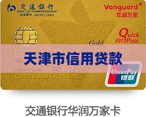 天津信用贷款系统