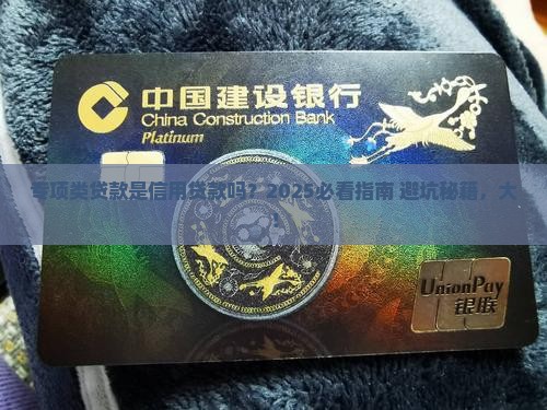 专项类贷款是信用贷款吗