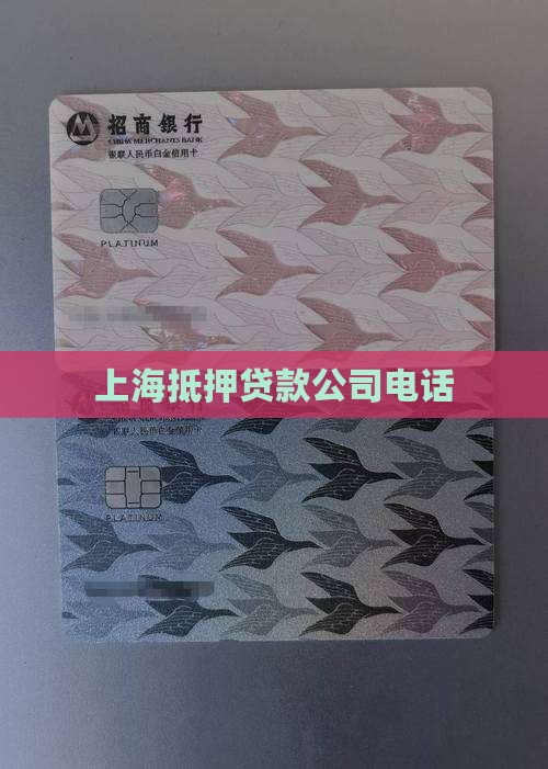 乍浦抵押贷款公司电话