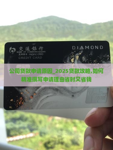 公司贷款申请原因