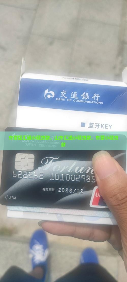 东营区汇通小额贷款