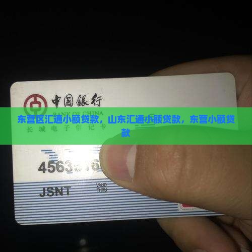 东营区汇通小额贷款
