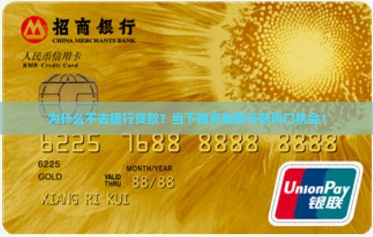 为什么不去银行贷款