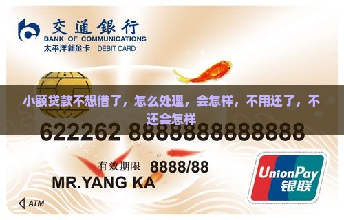 小额贷款不想借了
