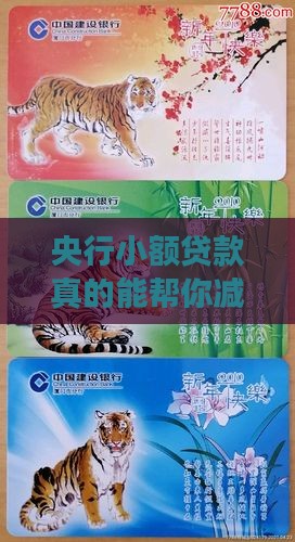 央行小额贷款减少负债吗