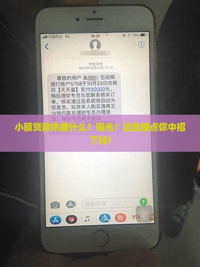 小额贷款依据什么