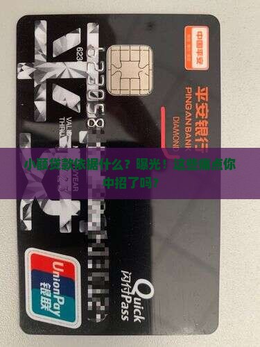 小额贷款依据什么