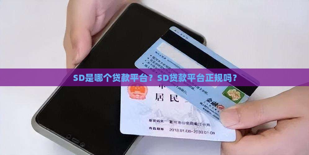 SD是哪个贷款平台