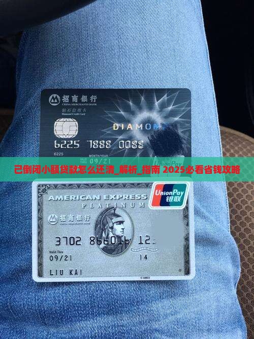 已倒闭小额贷款怎么还清