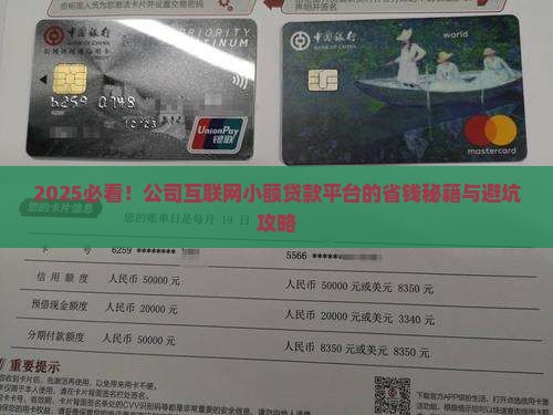 公司互联网小额贷款平台