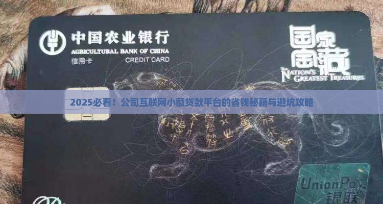 公司互联网小额贷款平台