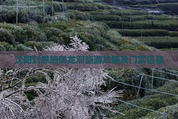 沈阳到恩施腾龙洞旅游攻略及门票信息
