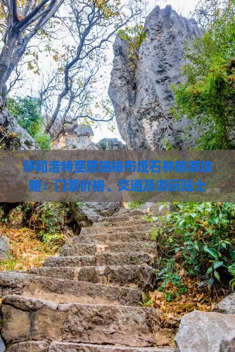 呼和浩特至恩施梭布垭石林旅游攻略：门票价格、交通及游玩贴士