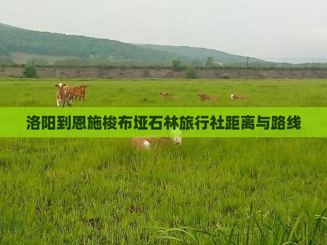 洛阳到恩施梭布垭石林旅行社距离与路线