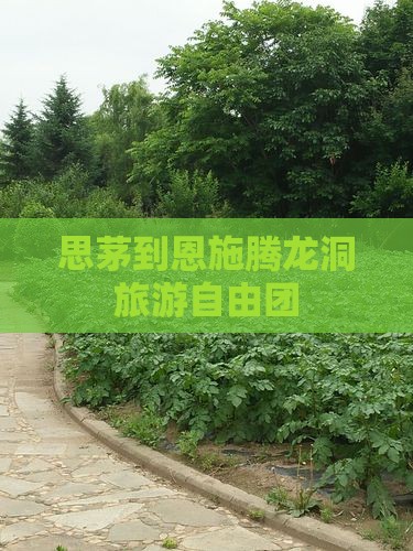 思茅到恩施腾龙洞旅游自由团