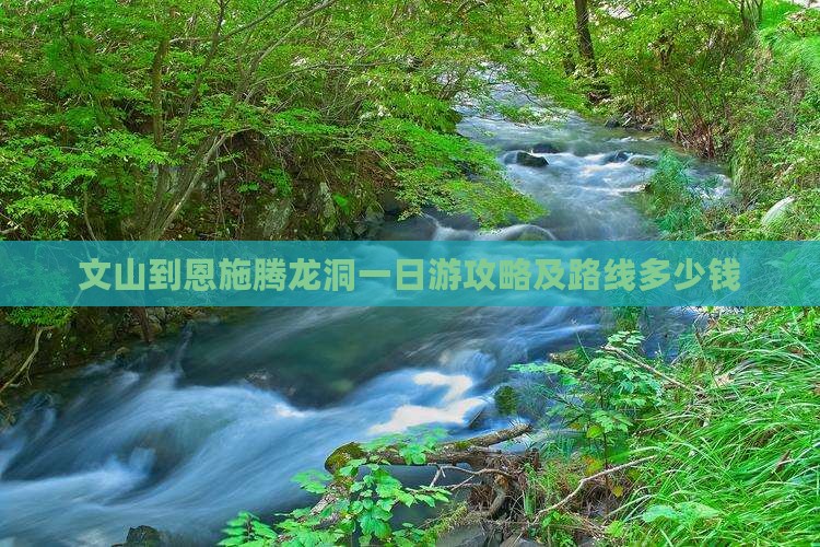 文山到恩施腾龙洞一日游攻略及路线多少钱