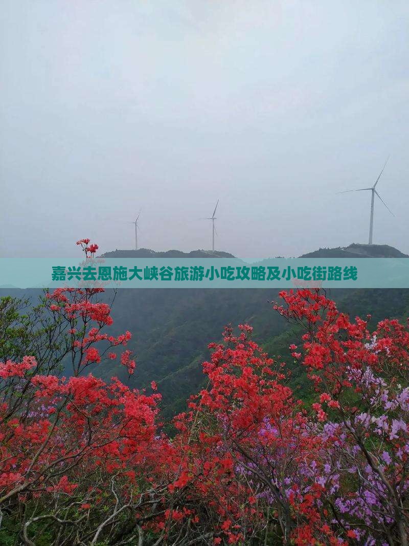 嘉兴去恩施大峡谷旅游小吃攻略及小吃街路线